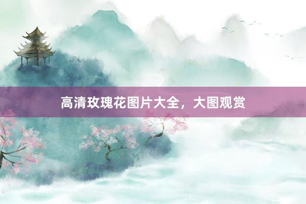 高清玫瑰花图片大全,大图观赏